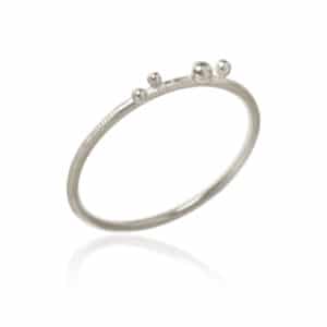 DULONG RING DELPHIS NR 4