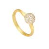 DULONG RING MUSHROOM BEAM MEDIUM
