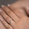 DULONG RING MUSHROOM BEAM MEDIUM