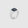 TOM WOOD RING KAY PIETERSITE